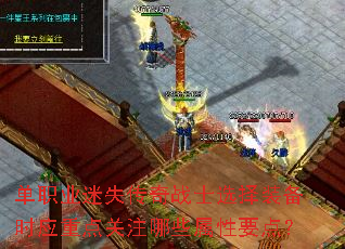 ְҵʧսʿѡװʱӦصעЩҪ㣿