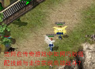 ʦڴϷ似λʵָЧս