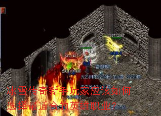 ѩӦѡʺϵӢְҵ