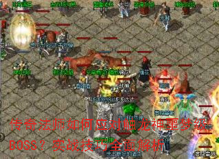 淨ʦӦԴجμBOSSʵսȫ