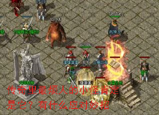 ˵Сֿ϶ʲôӦ