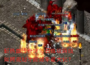 ѪSFÿ·ι滮Ч󻯣