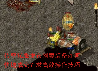 ˽װοٳɽЧ