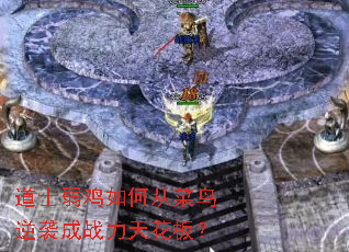 ʿδӲϮս컨壿