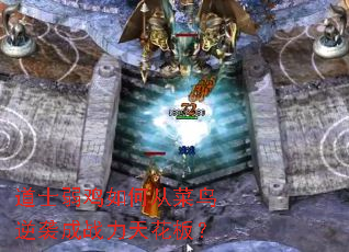 ʿδӲϮս컨壿