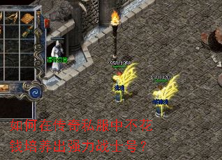 ڴ˽вǮǿսʿţ