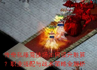 ˽ʤ㣿ְҵսȫ