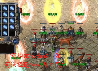 1.95ϻսʿѡװ䣿