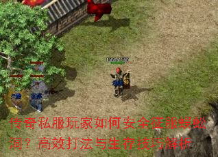 传奇私服玩家如何安全征服蜈蚣洞?高效打法与生存技巧解析 传奇私服玩家如何安全征服蜈蚣洞?高效打法与生存技巧解析