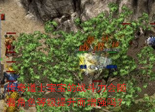 传奇道士宝宝的战斗力会随着角色等级提升而增强吗? 传奇道士宝宝的战斗力会随着角色等级提升而增强吗?