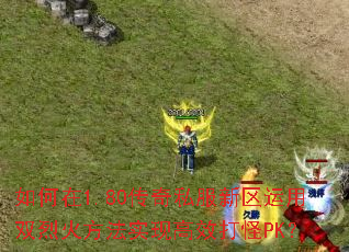 如何在1.80传奇私服新区运用双烈火方法实现高效打怪PK? 如何在1.80传奇私服新区运用双烈火方法实现高效打怪PK?