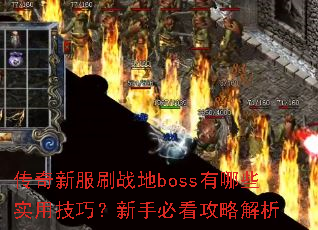 传奇新服刷战地boss有哪些实用技巧?新手必看攻略解析 传奇新服刷战地boss有哪些实用技巧?新手必看攻略解析