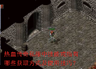 热血传奇私服中技能戒指有哪些获取方式及使用技巧? 热血传奇私服中技能戒指有哪些获取方式及使用技巧?