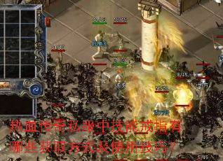 热血传奇私服中技能戒指有哪些获取方式及使用技巧? 热血传奇私服中技能戒指有哪些获取方式及使用技巧?