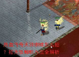 热血传奇天狼蜘蛛怎么招?招天狼蜘蛛方法全解析 热血传奇天狼蜘蛛怎么招?招天狼蜘蛛方法全解析