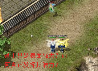 道士只是表面强大?如何真正发挥其潜力? 道士只是表面强大?如何真正发挥其潜力?