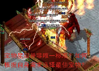 宠物星级并非唯一标准?如何根据自身需求选择最佳宠物? 宠物星级并非唯一标准?如何根据自身需求选择最佳宠物?