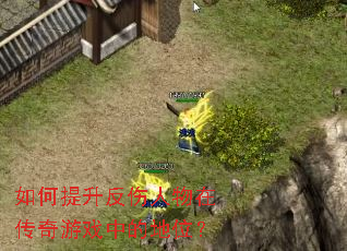 如何提升反伤人物在传奇游戏中的地位? 如何提升反伤人物在传奇游戏中的地位?