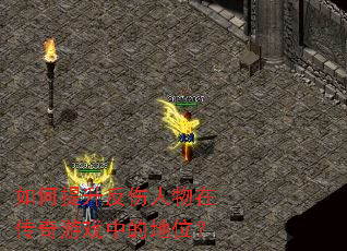 如何提升反伤人物在传奇游戏中的地位? 如何提升反伤人物在传奇游戏中的地位?