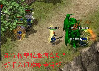 迷你传奇私服怎么玩?新手入门攻略全解析 迷你传奇私服怎么玩?新手入门攻略全解析