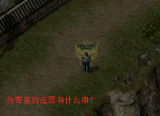 传奇里的庄园有什么用? 传奇里的庄园有什么用?