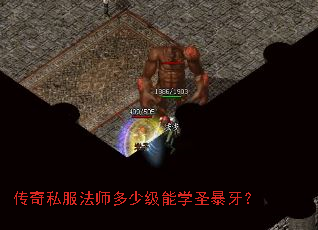 传奇私服法师多少级能学圣暴牙? 传奇私服法师多少级能学圣暴牙?