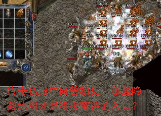 传奇私服中何曾相见,哪些隐藏地图才是终极宝藏的入口? 传奇私服中何曾相见,哪些隐藏地图才是终极宝藏的入口?