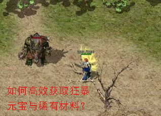 如何高效获取狂暴元宝与稀有材料? 如何高效获取狂暴元宝与稀有材料?