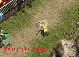 黑月狐王战士职业怎么打? 黑月狐王战士职业怎么打?
