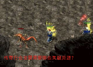 传奇行会发展需要哪些关键资源? 传奇行会发展需要哪些关键资源?