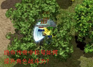 绝命传奇中称号如何提升角色战斗力? 绝命传奇中称号如何提升角色战斗力?