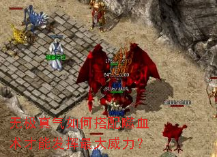 无极真气如何搭配噬血术才能发挥最大威力? 无极真气如何搭配噬血术才能发挥最大威力?