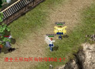 道士无邪如何有效抑制战士? 道士无邪如何有效抑制战士?