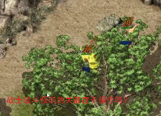 战士战斗强弱的关键在于操作吗? 战士战斗强弱的关键在于操作吗?