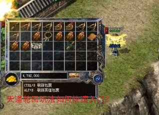 天道轮回玩法如何快速入门? 天道轮回玩法如何快速入门?