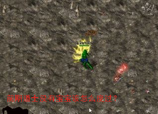 前期道士没有宝宝该怎么度过? 前期道士没有宝宝该怎么度过?