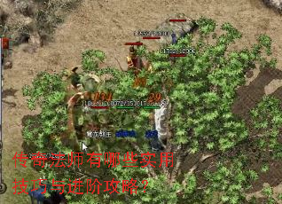 传奇法师有哪些实用技巧与进阶攻略? 传奇法师有哪些实用技巧与进阶攻略?