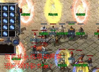 法师组队练级如何实现高效经验共享? 法师组队练级如何实现高效经验共享?
