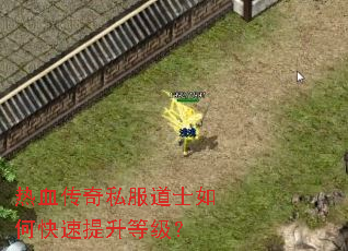 热血传奇私服道士如何快速提升等级? 热血传奇私服道士如何快速提升等级?