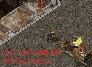 私服传世h最新版本有哪些快速升级技巧? 私服传世h最新版本有哪些快速升级技巧?