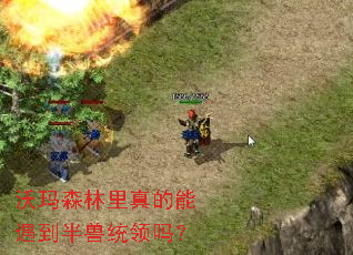 沃玛森林里真的能遇到半兽统领吗? 沃玛森林里真的能遇到半兽统领吗?