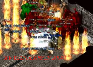 ��ο���ΪԪ�����Լӵ�5�㣿