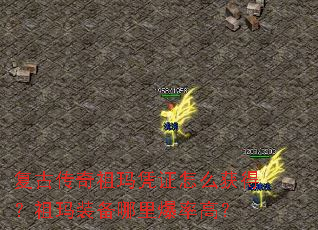 ���Ŵ�������ƾ֤��ô��ã�����װ�����ﱬ�ʸߣ�