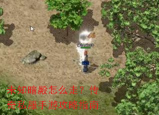 δ֪������ô�ߣ�����˽�����ι���ָ��