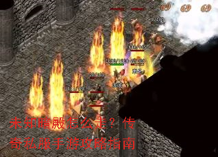 δ֪������ô�ߣ�����˽�����ι���ָ��