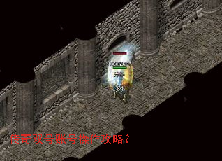 ����˫���˺Ų������ԣ�