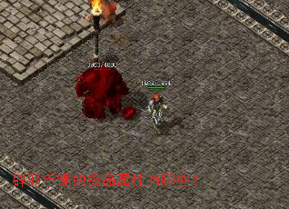 辟邪手镯的极品属性有哪些? 辟邪手镯的极品属性有哪些?