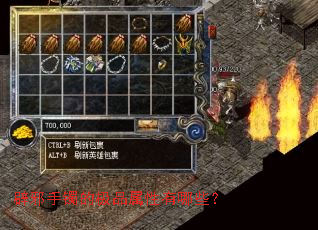 辟邪手镯的极品属性有哪些? 辟邪手镯的极品属性有哪些?