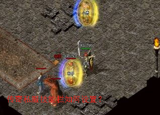 ����˽��������������ã�