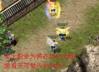 道士职业为何在玛法大陆拥有无可替代的地位? 道士职业为何在玛法大陆拥有无可替代的地位?